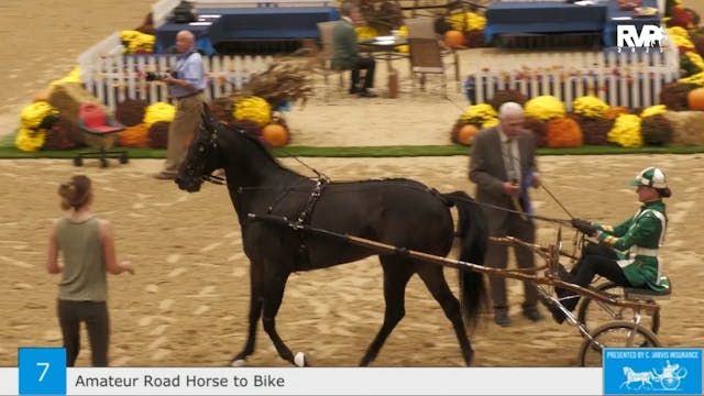KFC23 - Class 7 - Amateur Road Horse ...
