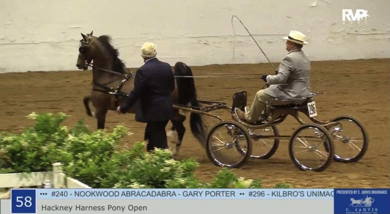 BB21 - Class 58 - Hackney Harness Pony Open