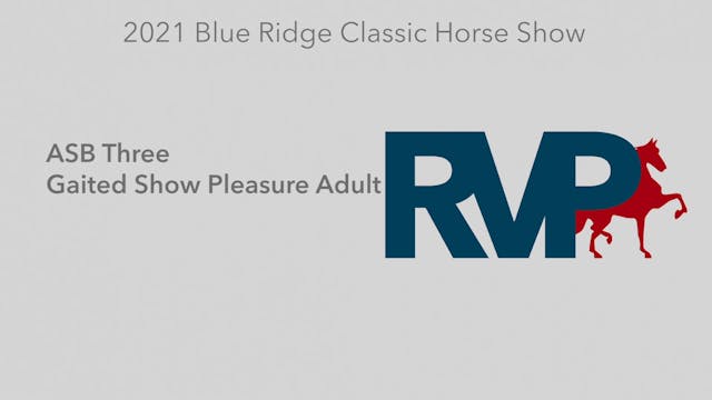 BR21 - Class 19 - ASB Three Gaited Sh...