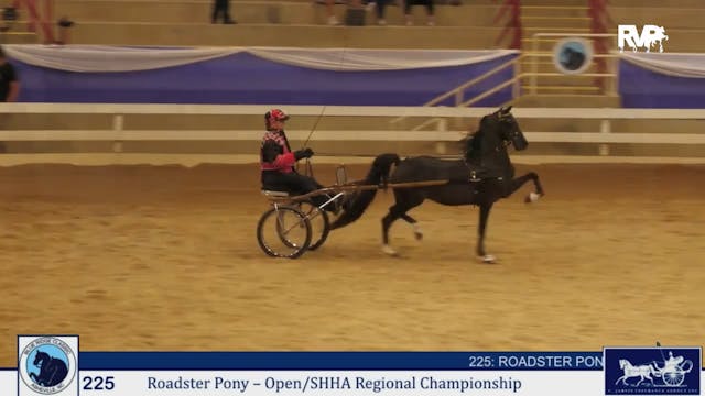 BRC25 - Class 225 - Roadster Pony Ope...