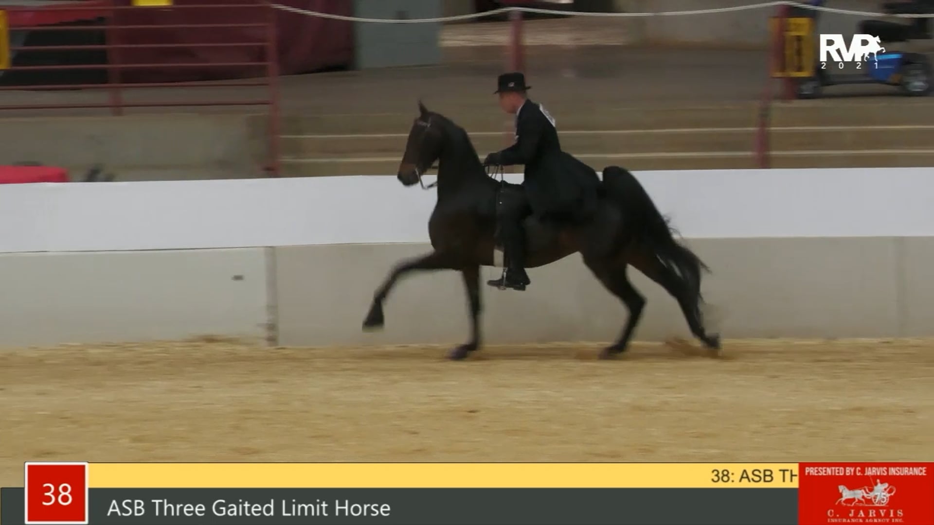 PA21 - Class 38 ASB Three Gaited Limit Horse