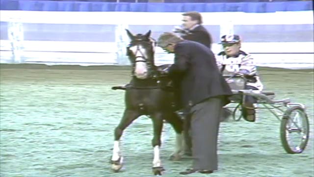 1991 WCHS Class 114 Junior Exhibitor ...