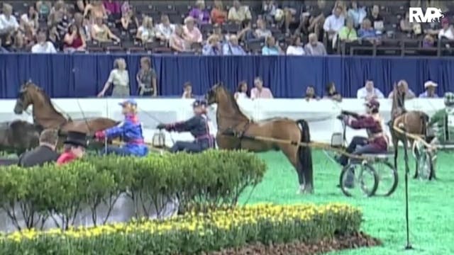 2010 World's Championship Horse Show ...