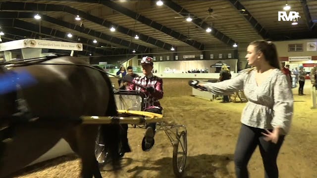GASP20 - Class 185 - Genesis Champion...