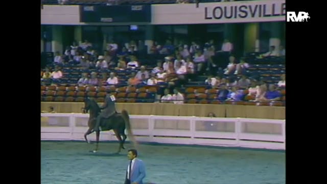 1988 WCHS Class 23 Amateur Five Gaite...