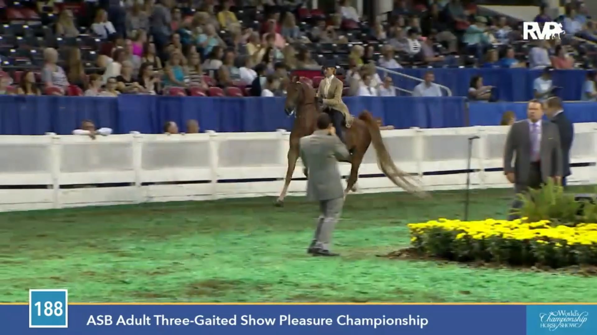 2015 WCHS - Class 188 ASB Adult Three Gaited Show Pleasure Championship 