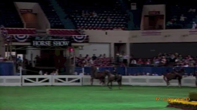 2001 WCHS - Class 33 - Junior Exhibit...