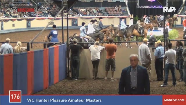 2015 MGN - Class 176 WC Hunter Pleasu...