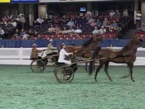 2008 WCHS Class 21 Country Pleasure D...