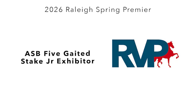 RSP26 - Class 118 - ASB Five Gaited S...