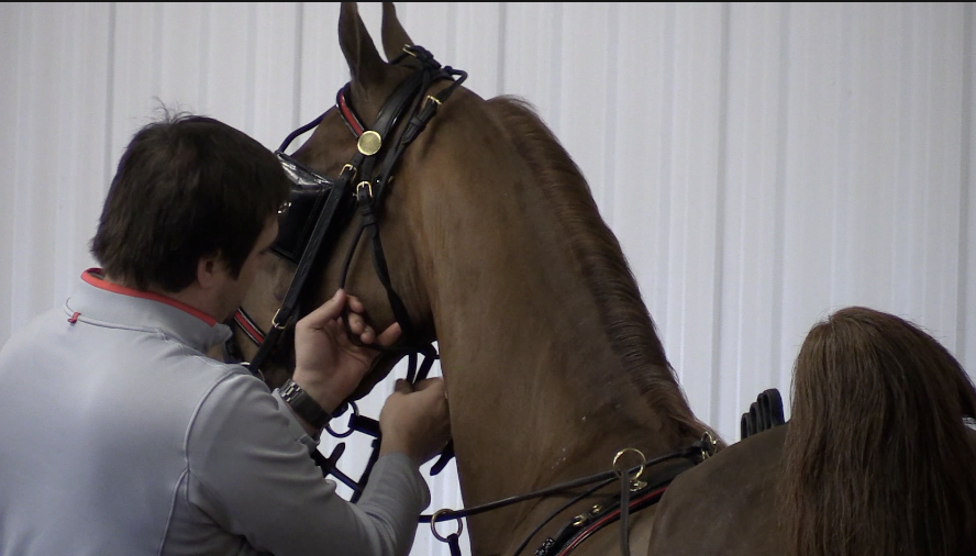 2020 Willow Way Stables Farm Visit