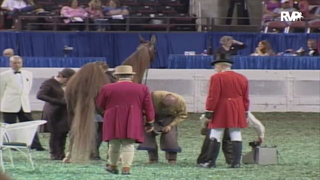 2006 WCHS Class 52 Ladies Amateur Fiv...