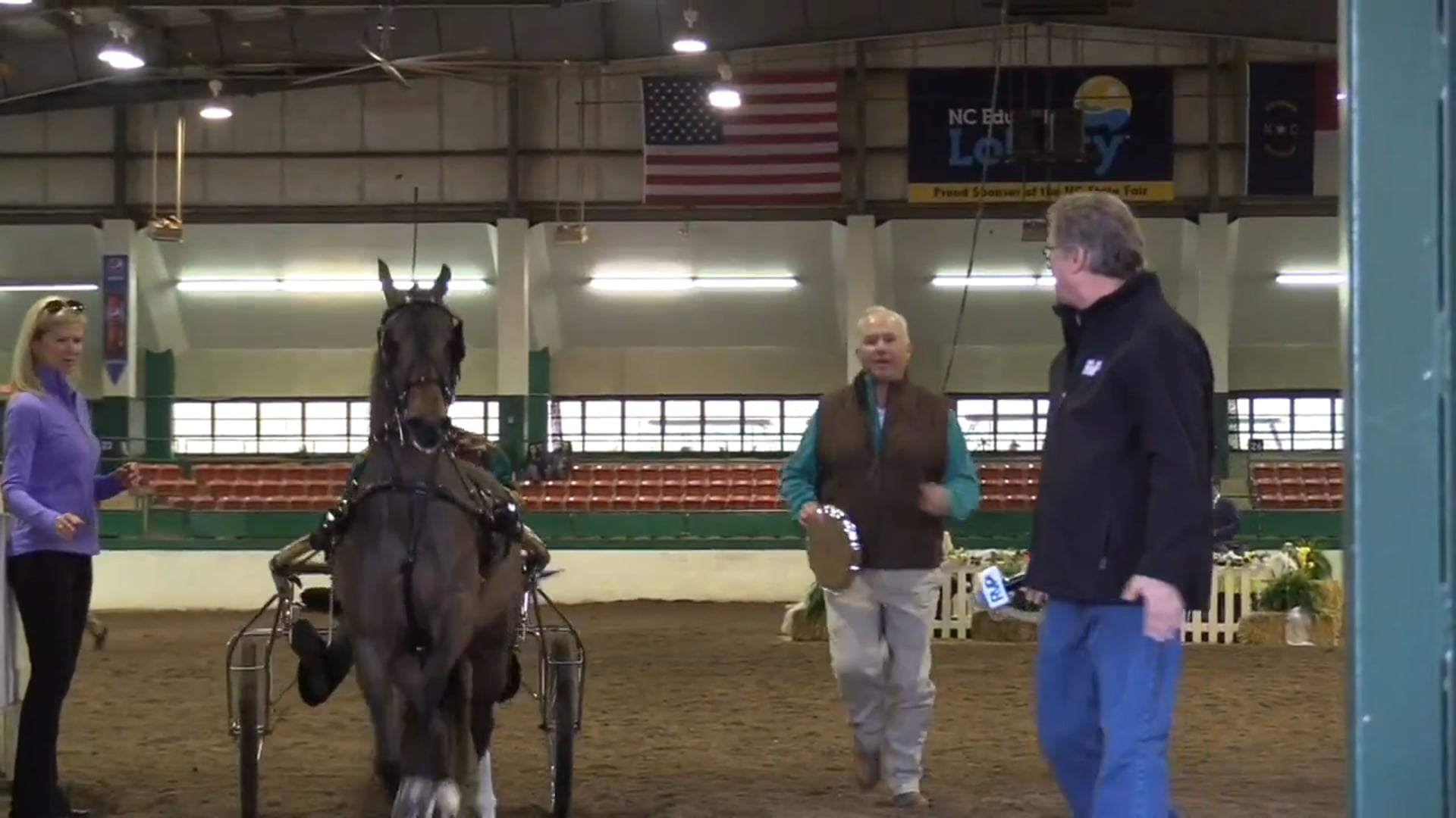 RSP17 - Palisades Ladyhawke