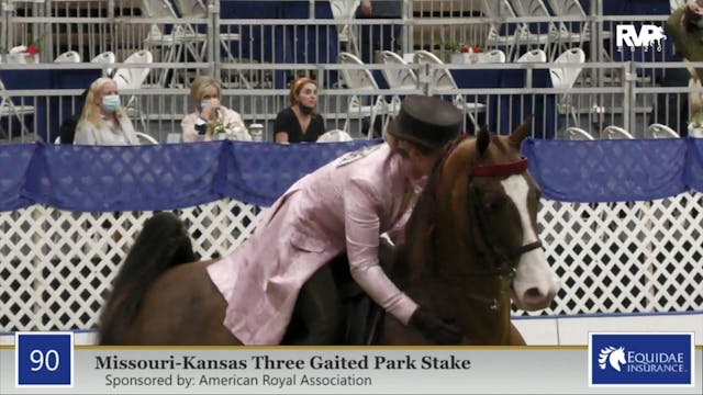 2020 AR - Class 90 MO:KS Three Gaited...