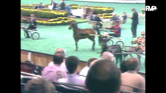1989 WCHS Class 6 Kentucky County Fai...