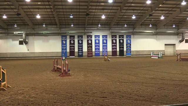 MGN16 - Sport Horse 1 - Monday Evening