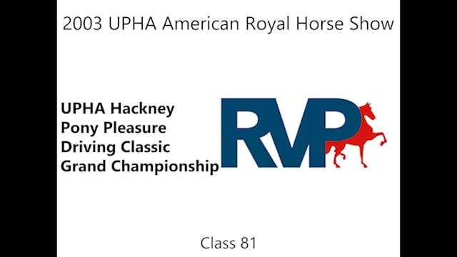KC03 - Class 81 - UPHA Hackney Pony P...