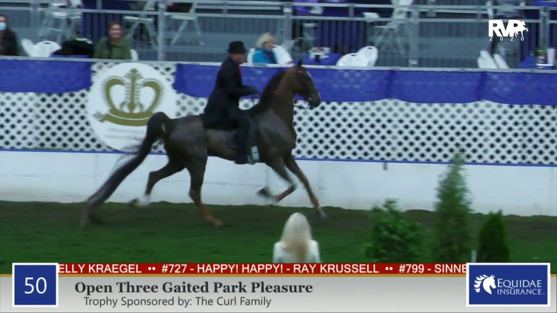 2020 AR - Class 50 Open Three Gaited Park Pleasure