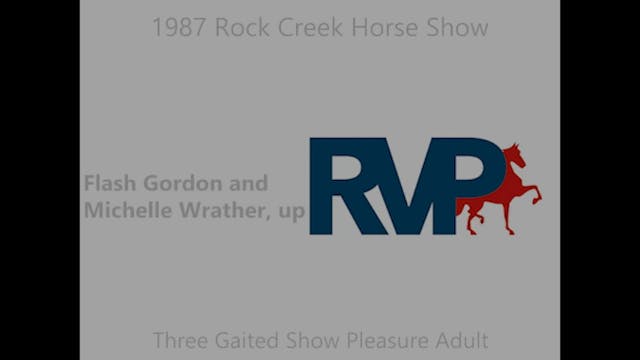 RC 1987 - Three Gaited Show Pleasure ...