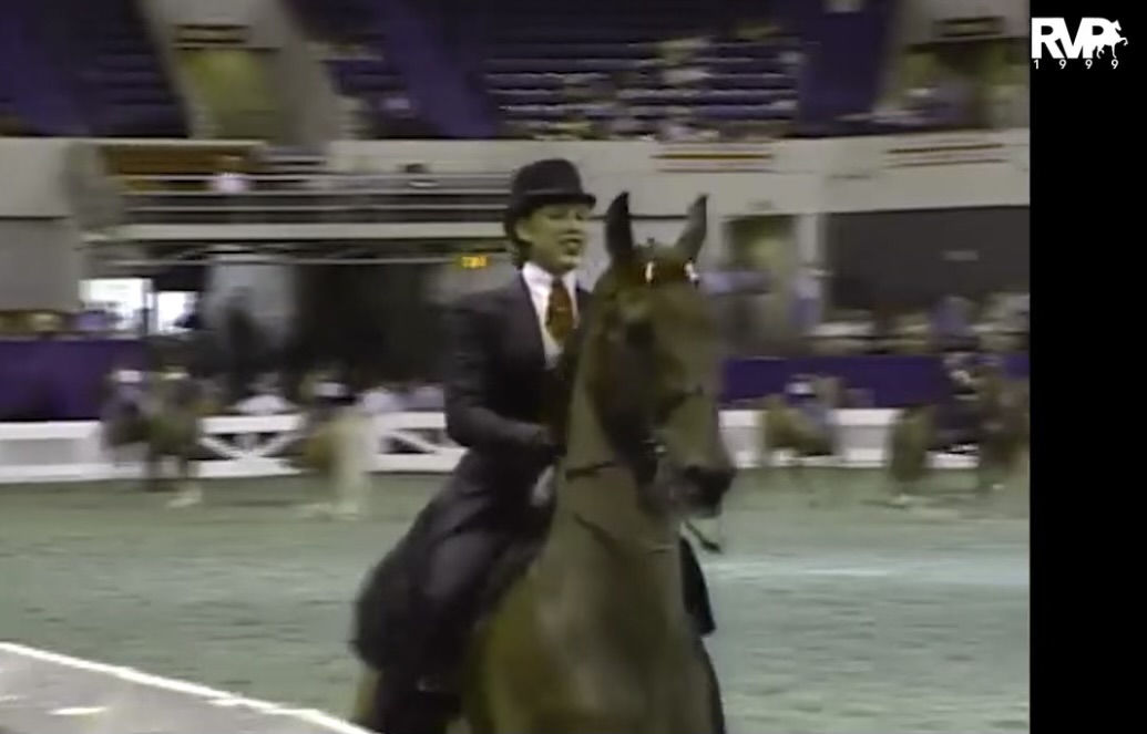 1999 WCHS - Class 201 ASHA Medal Class Saddle Seat-