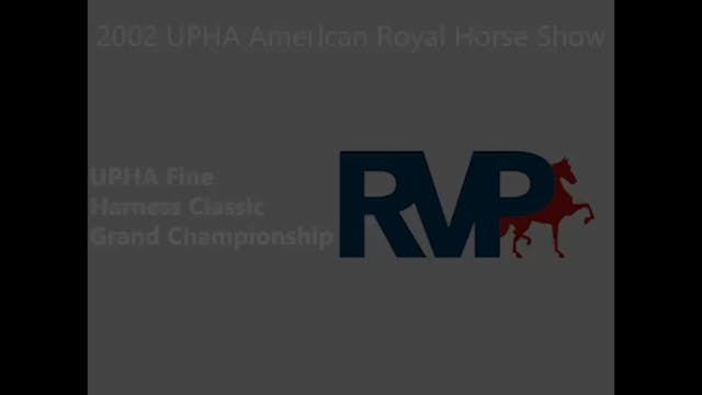 KC 02 - UPHA Fine Harness Classic Gra...