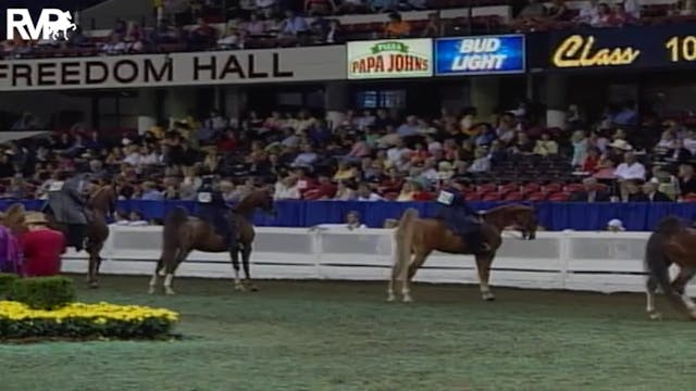 2004 World's Championship Horse Show ...