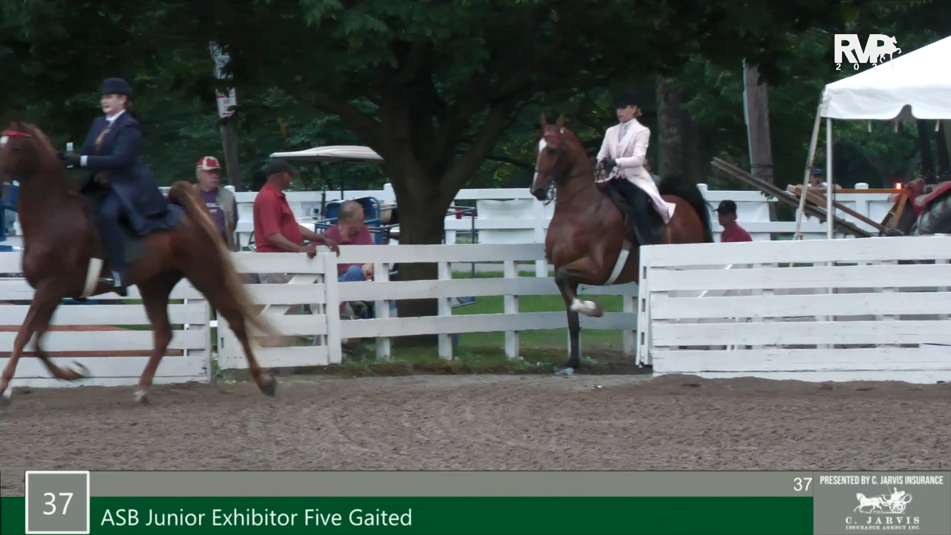 RC21 - Class 37 - ASB Five Gaited Junior Exhibitor