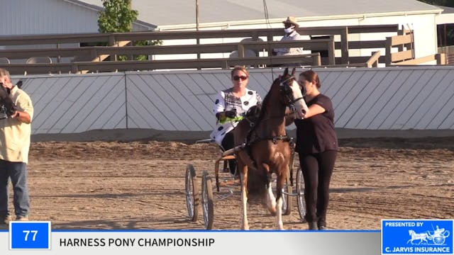 2020 MCF - Class 77 Harness Pony Cham...