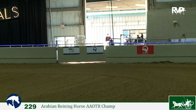 2024 Arabian Nationals - Mustang - Mo...