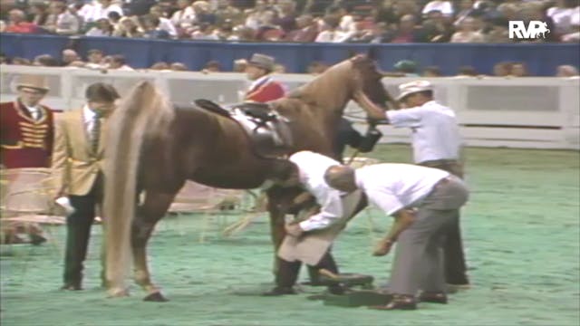 1992 WCHS Class 150 Junior Five Gaite...