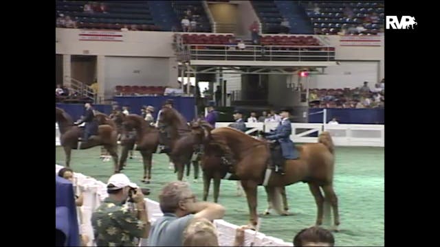 1998 WCHS - Class 28 Junior Exhibitor...