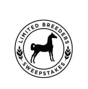2025 AHHS Limited Breeders Sweepstakes Clinic at Hollow Haven