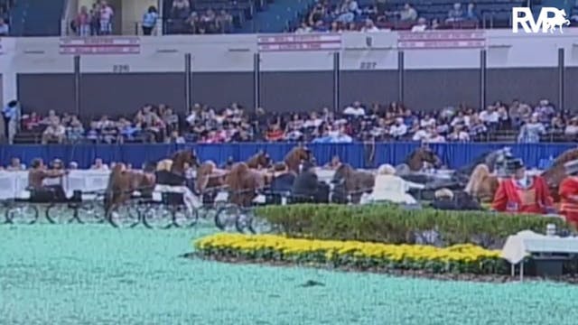 2009 World's Championship Horse Show ...