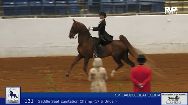 BB24 - Class 131 -  Saddle Seat Equit...