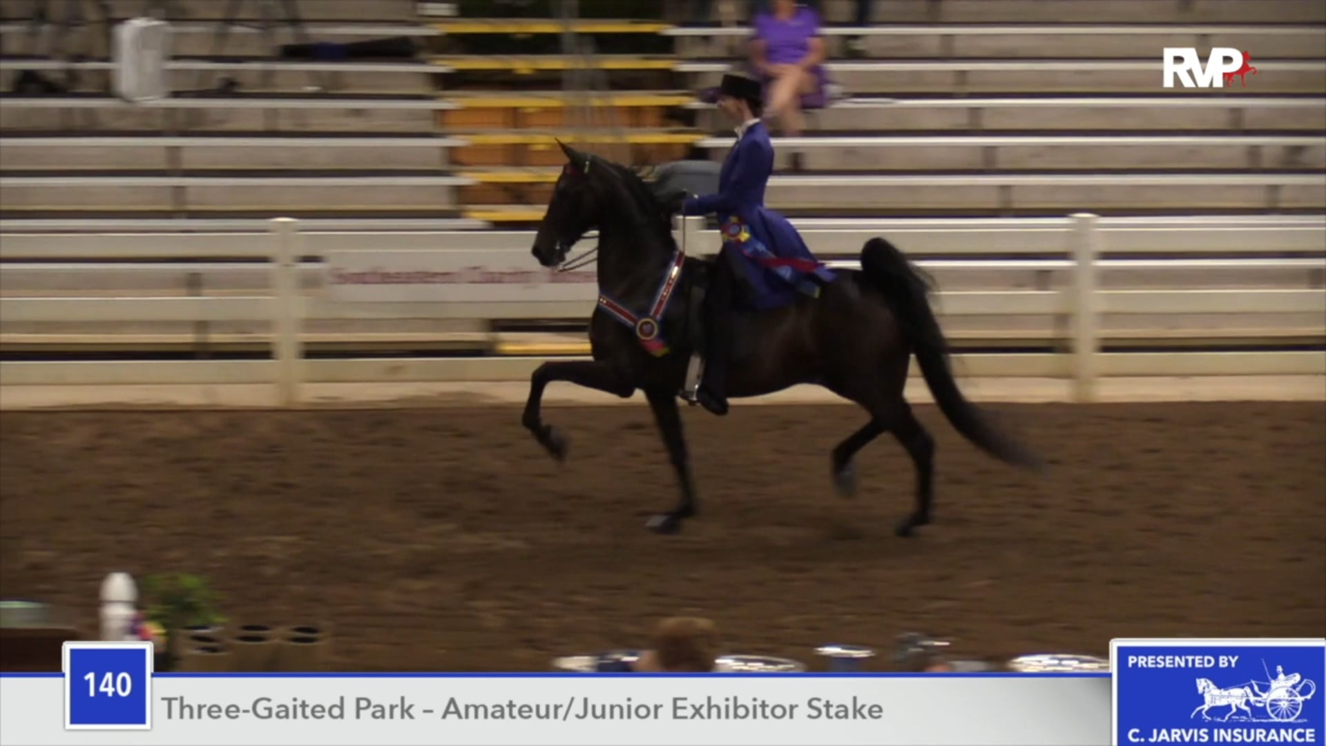 SEC18 - Class 140 - CH Brookhill's Periday Championship