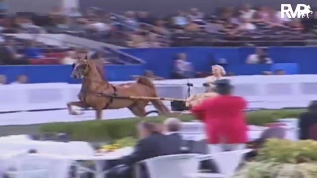 2009 World's Championship Horse Show ...