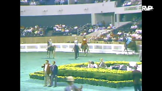1988 WCHS Class 57 Three Gaited Pleas...