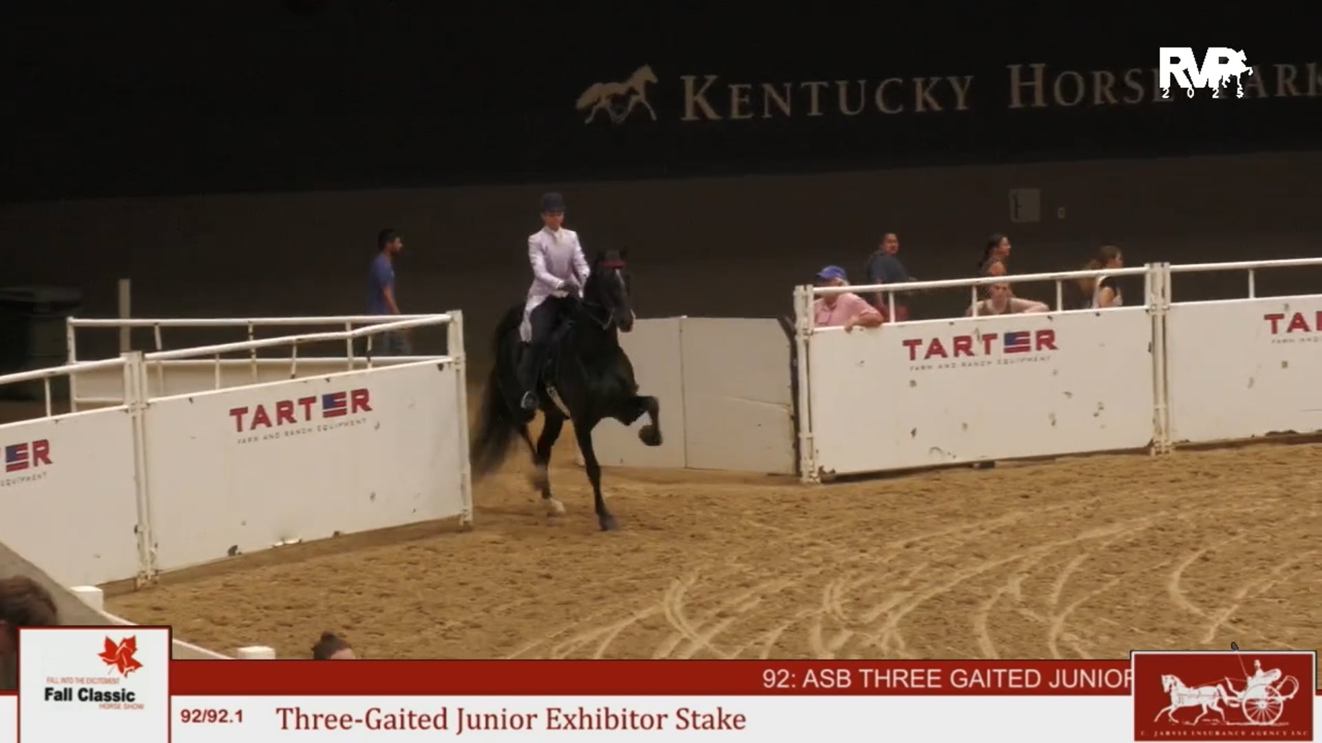 KFC25 - Class 92 - Three Gaited Jr Exhibitor Stake