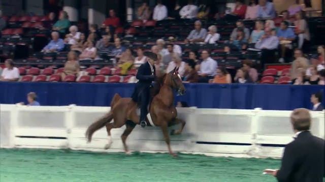 2012 World's Championship Horse Show ...