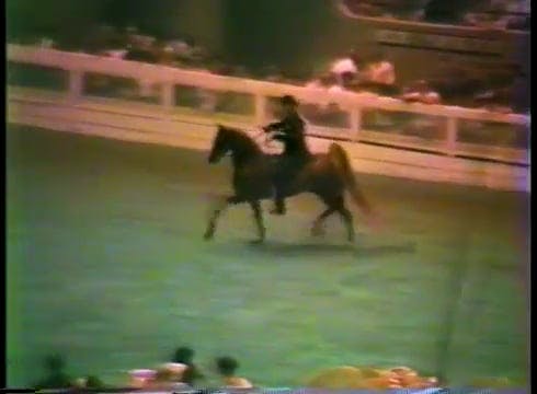 1983 World's Championship Horse Show ...