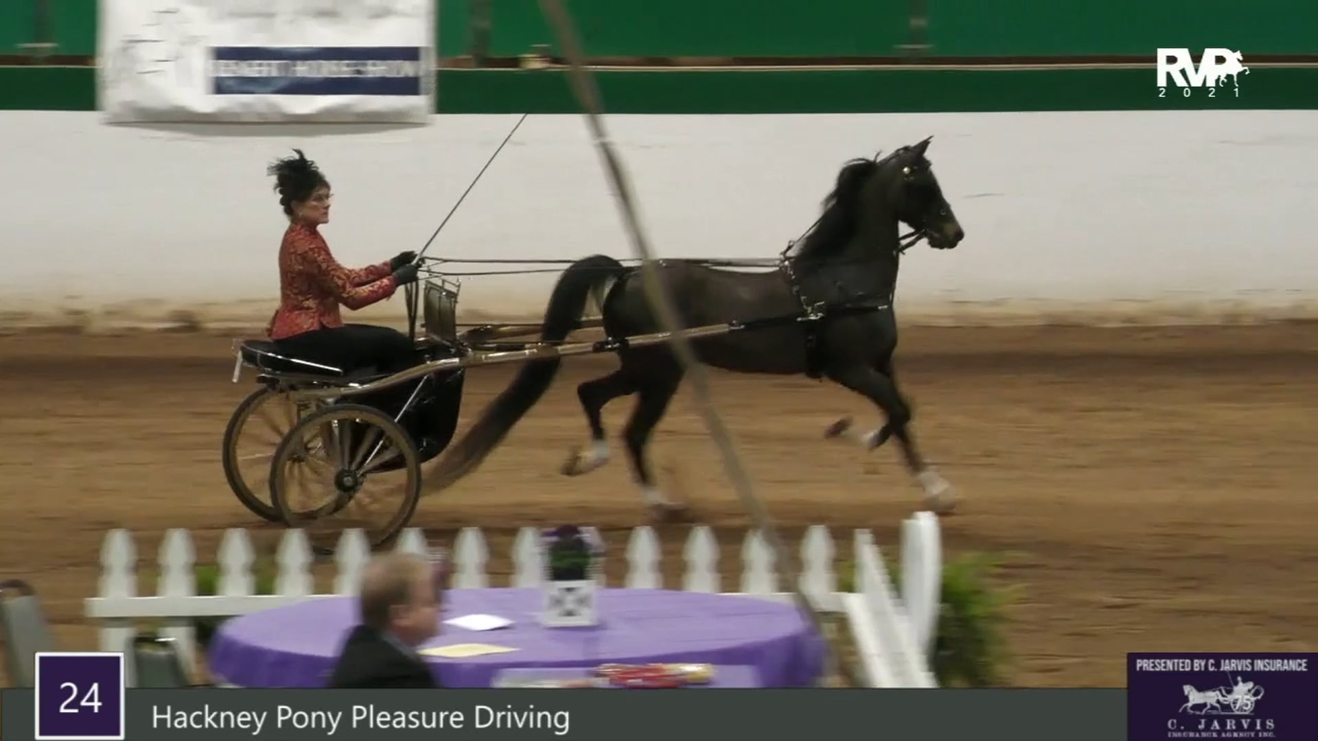RSP21 - Class 24 - Hackney Pony Pleasure Driving