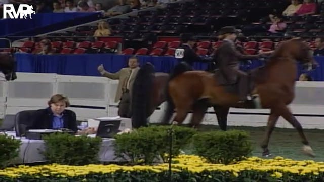 2004 World's Championship Horse Show ...