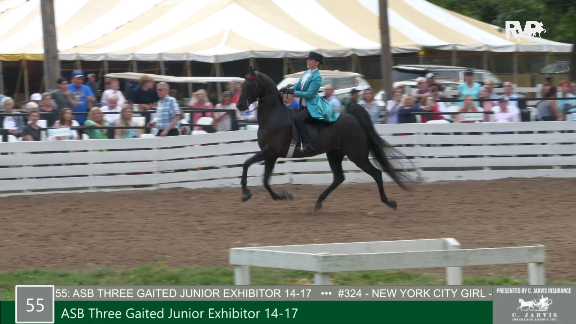RC21 - Class 55 - ASB Three Gaited Junior Exhibitor, Riders 14 to 17