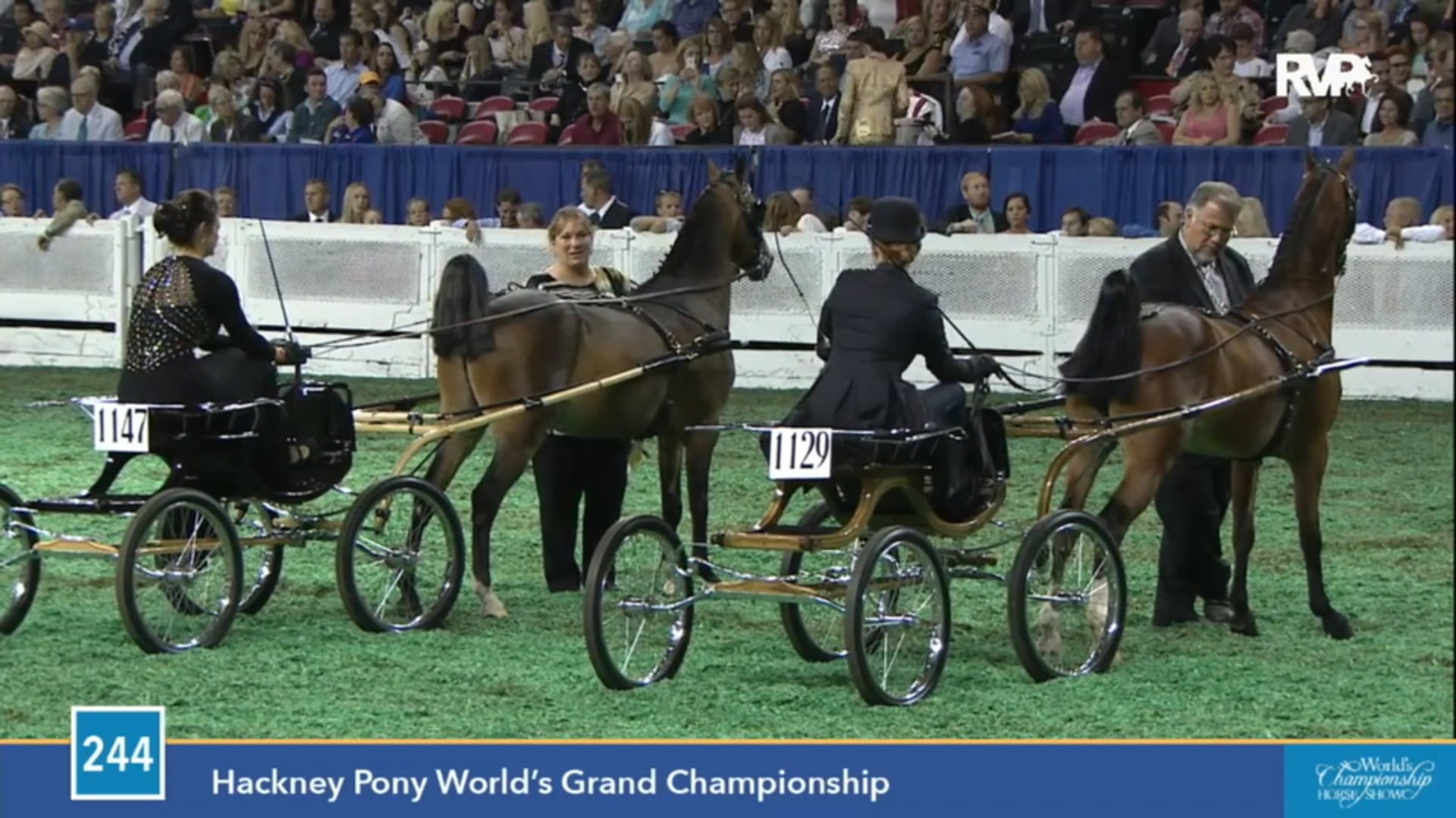 2015 WCHS - Class 244 Hackney Pony World's Grand Championship