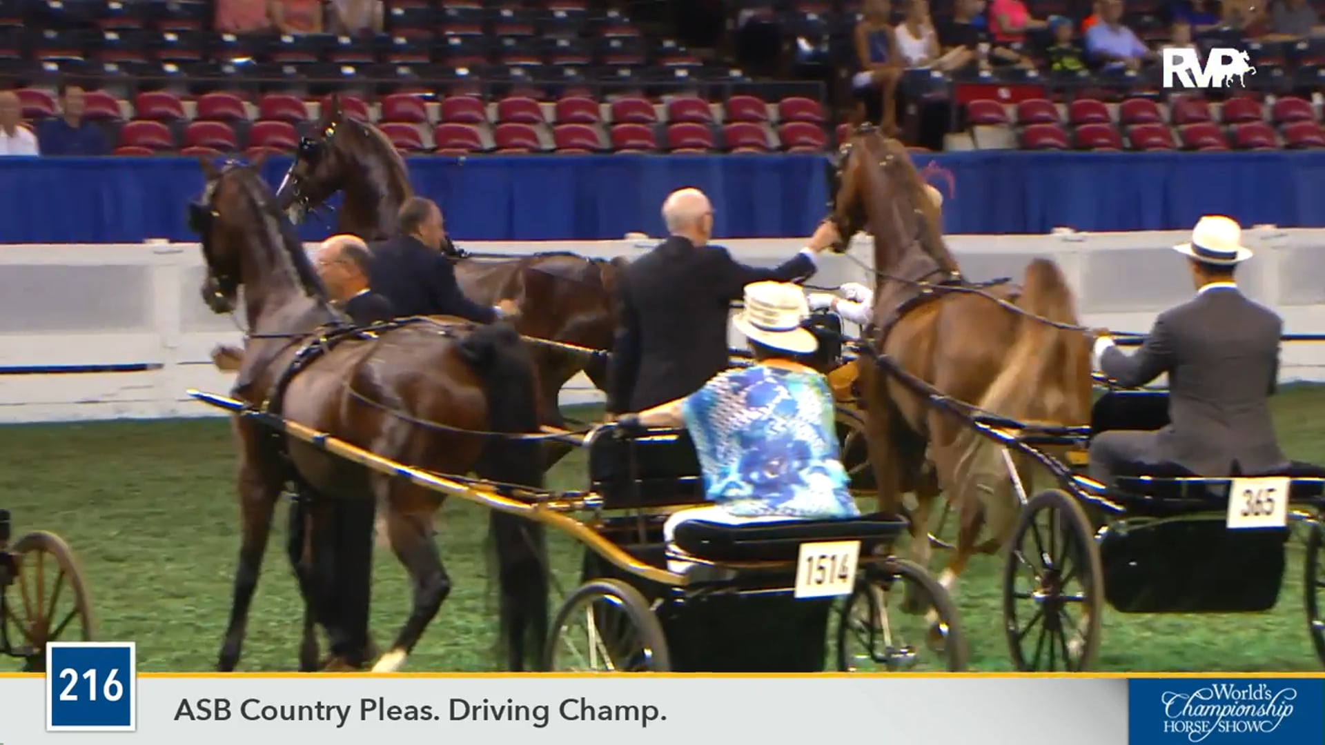 WCHS16 - The Code Cracker - Championship