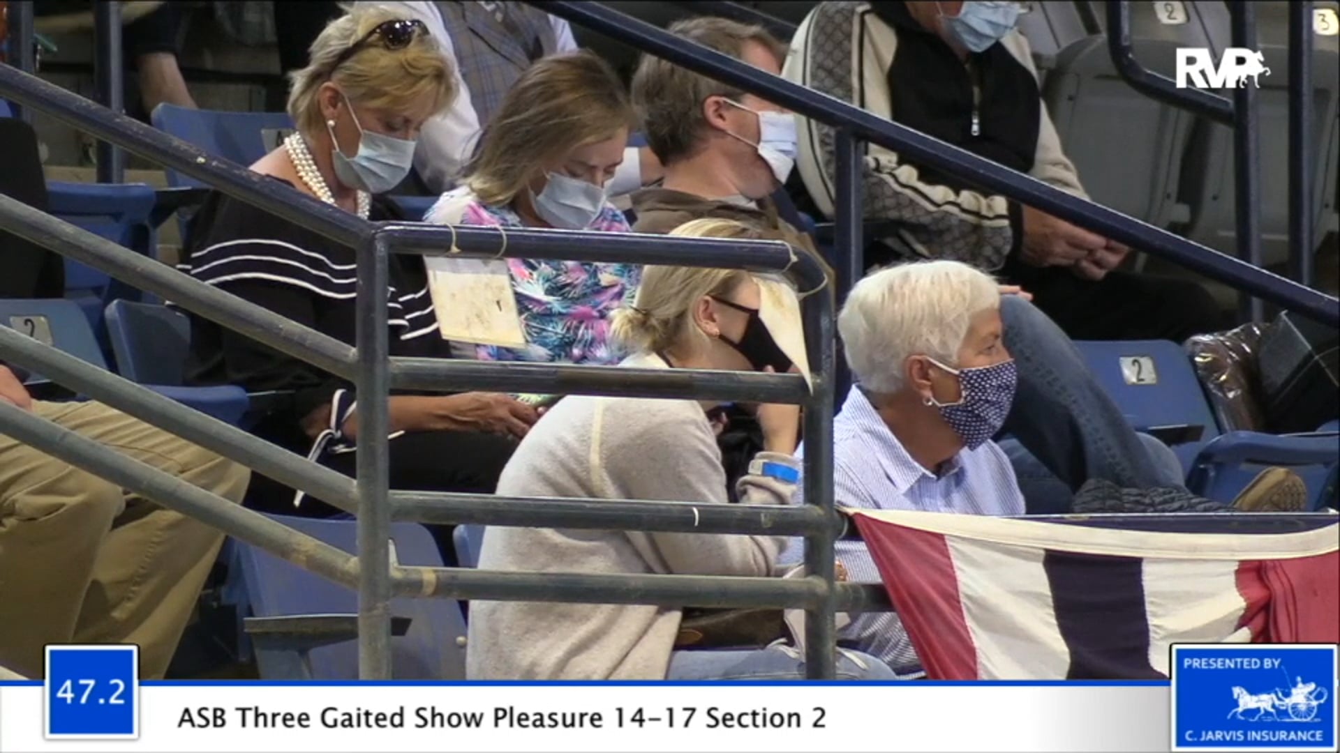 2020 BB - Class 47.2 ASB Three Gaited Show Pleasure 14-17 Division 2