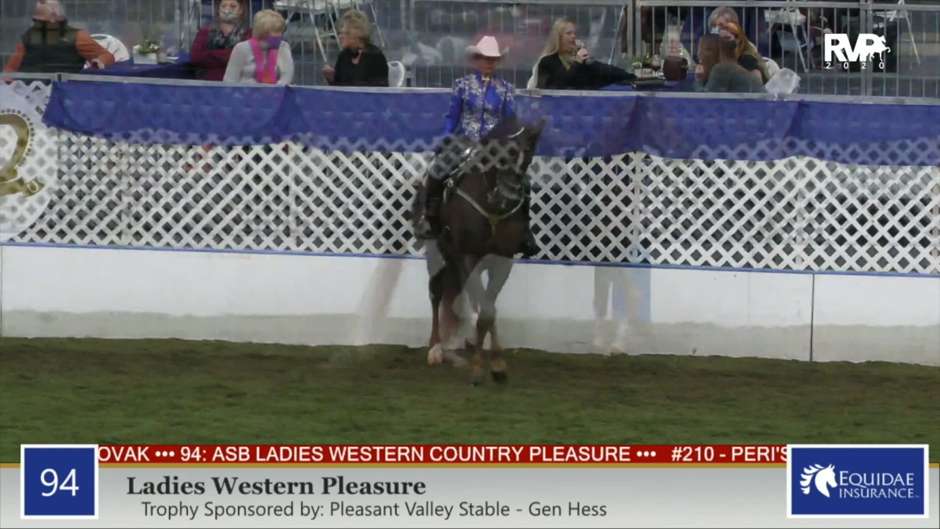 2020 AR - Class 94 Ladies Western Pleasure
