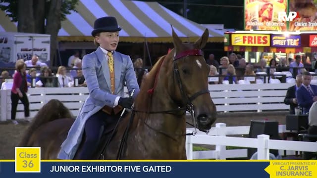 2015 RC - Class 36 Junior Exhibitor F...
