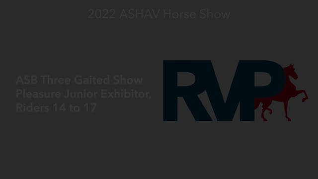 ASHAV22 - CLass 57 - ASB Three Gaited...
