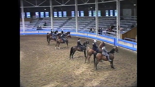 Des Moines Spring Horse Show 1995 - 3...
